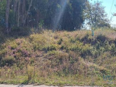 Vente Terrain AGUA-FORMOSA 2425