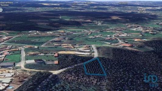 Vente Terrain AGUEDA 3750