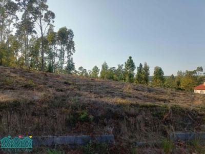 Vente Terrain AGUEDA 3750