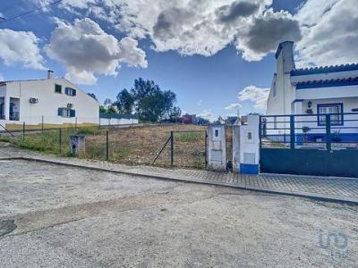 Vente Terrain ALANDROAL 7250