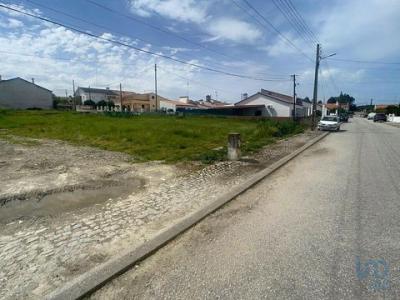 Vente Terrain ALANDROAL 7250