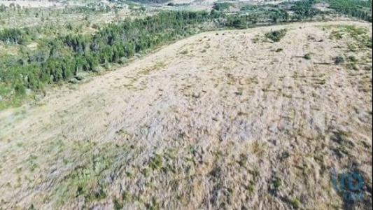 Vente Terrain ALANDROAL 7250