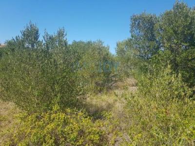 Vente Terrain ALAPRAIA 2765
