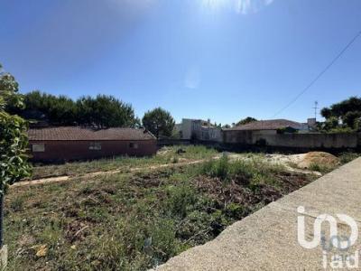 Vente Maison 3 pices ALBARRAQUE 2635