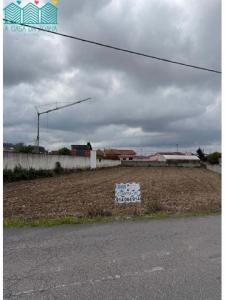 Vente Terrain ALBERGARIA-A-VELHA 3850