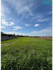 Vente Terrain ALBERGARIA-A-VELHA 3850