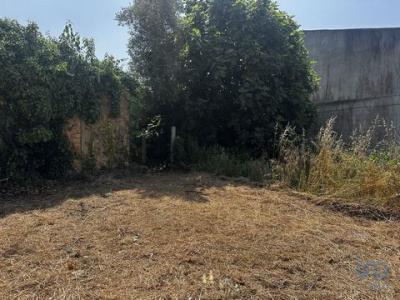 Vente Maison 2 pices ALBERGARIA-A-VELHA 3850