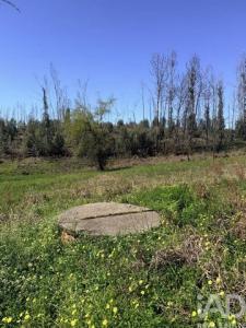 Vente Terrain ALBERGARIA-A-VELHA 3850