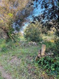 Vente Terrain ALBUFEIRA 8200