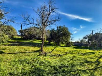 Vente Terrain ALBUFEIRA 8200