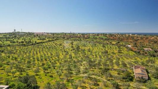 Vente Terrain ALBUFEIRA 8200