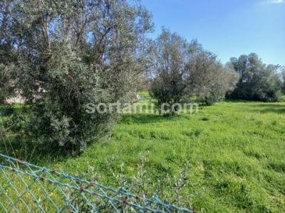 Vente Terrain ALBUFEIRA 8200