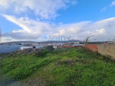 Vente Terrain ALCABIDECHE 2645