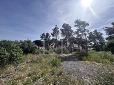 Vente Terrain ALCABIDECHE 2755