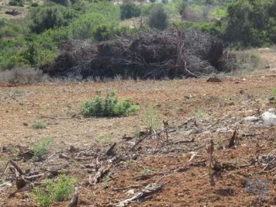 Vente Terrain ALCANTARILHA 8365