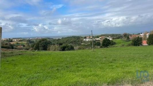 Vente Terrain ALCOBACA 2460