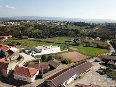 Vente Terrain ALCOBACA 2460