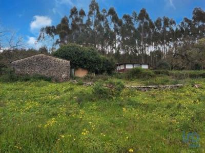 Vente Maison 2 pices ALCOBACA 2460