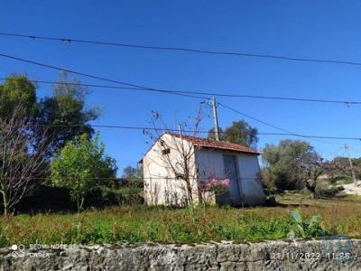 Vente Terrain ALCOBACA 2460