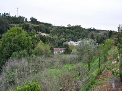 Vente Terrain ALCOBACA 2460