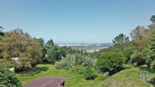 Vente Terrain ALCOBACA 2460