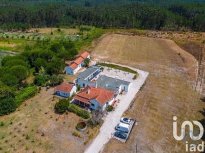 Vente Maison 6 pices ALCOBACA 2460
