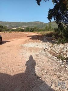 Vente Terrain ALCOBACA 2460