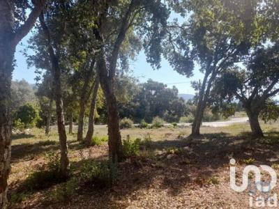 Vente Terrain ALCOBACA 2460