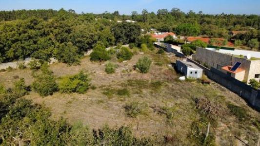 Vente Terrain ALCOBACA 2460