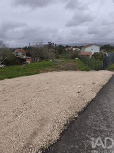 Vente Terrain ALCOBACA 2460