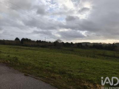 Vente Terrain ALCOBACA 2460