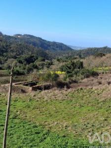 Vente Terrain ALCOBACA 2460