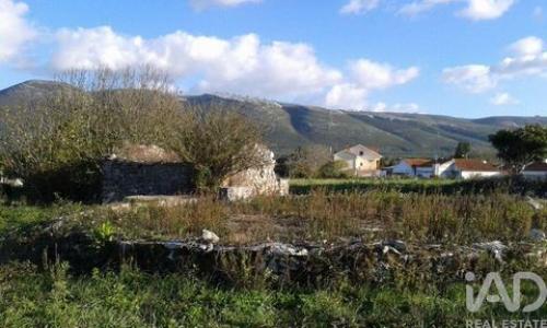 Vente Terrain ALCOBACA 2460