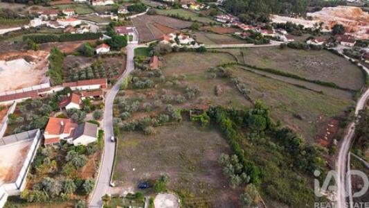 Vente Terrain ALCOBACA 2460