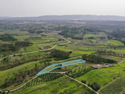 Vente Terrain ALCOBACA 2460