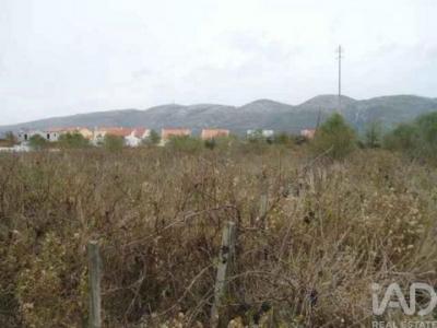 Vente Terrain ALCOBACA 2460