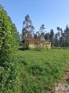 Vente Terrain ALCOBACA 2460