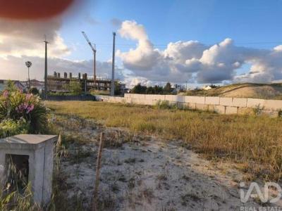 Vente Terrain ALCOBACA 2460