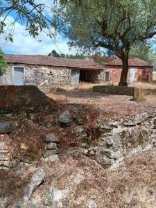 Vente Maison ALCOBACA 2460