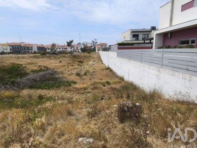 Vente Terrain ALCOBACA 2460