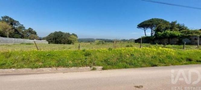 Vente Terrain ALCOBACA 2460