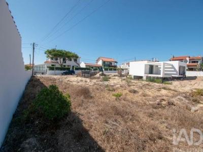 Vente Terrain ALCOBACA 2460
