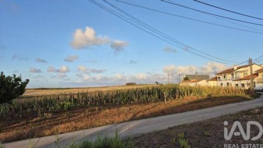 Vente Terrain ALCOBACA 2460