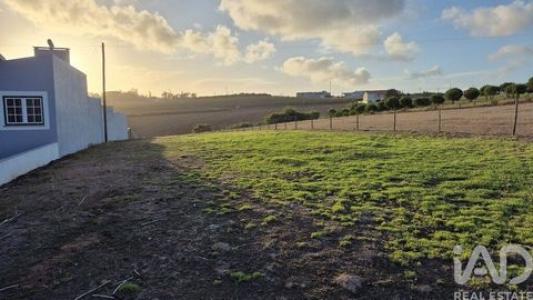 Vente Terrain ALCOBACA 2460