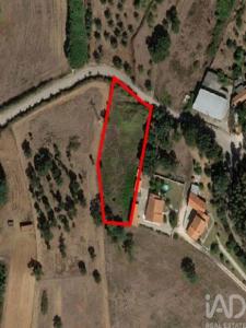 Vente Terrain ALCOBACA 2460