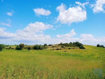 Vente Terrain ALCOENTRE 2065