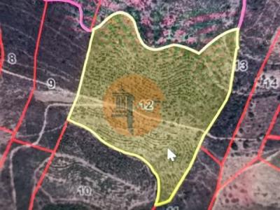 Vente Terrain ALCOUTIM 8970