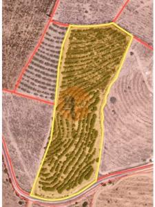 Vente Terrain ALCOUTIM 8970