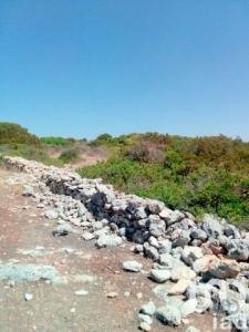 Vente Terrain ALDEIA-DA-BELA-VISTA 8400