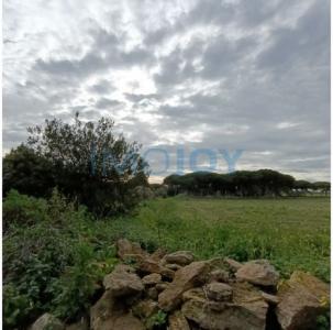 Vente Terrain ALDEIA-GALEGA 2705